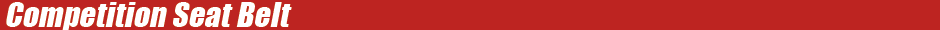 4071　GASOLINE ADDITIVE