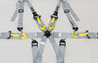Competition Seat Belt
